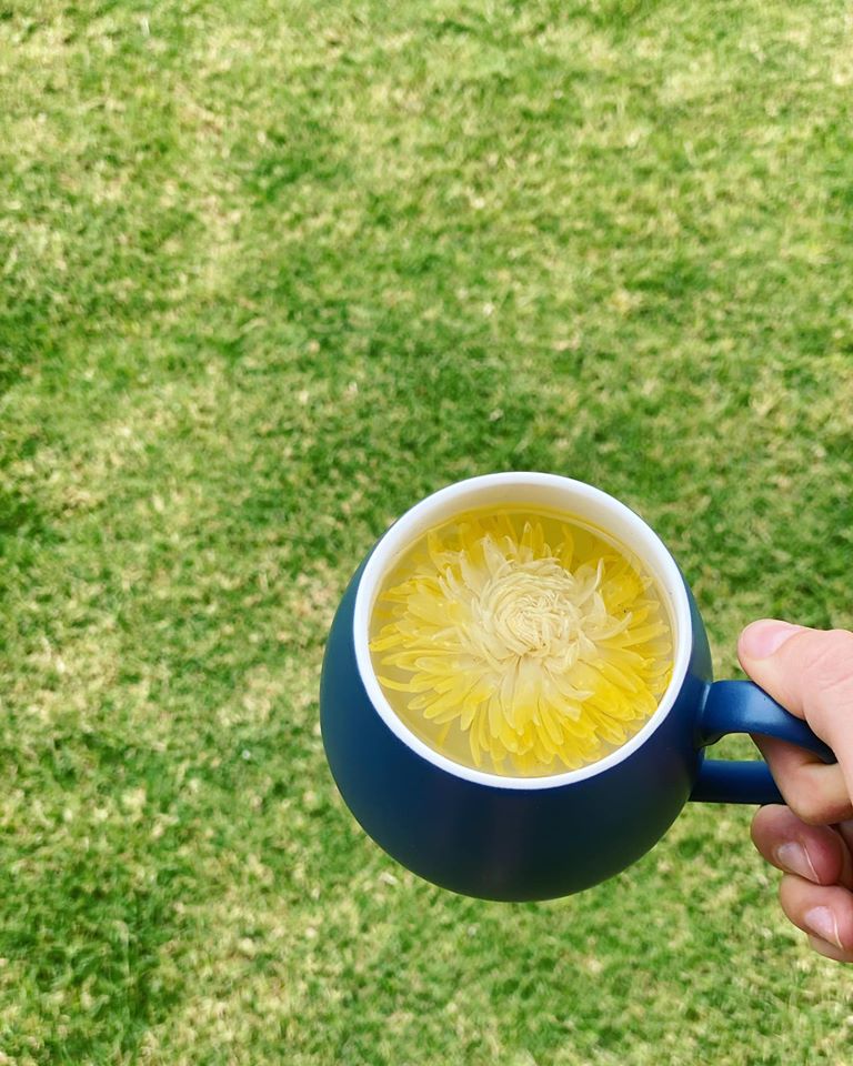 dynastyoftea's tweet photo. Did someone say FREE Shipping? 🍵🤩 - https://t.co/dzR9Z1GvBD https://t.co/vYPnB7eGNX