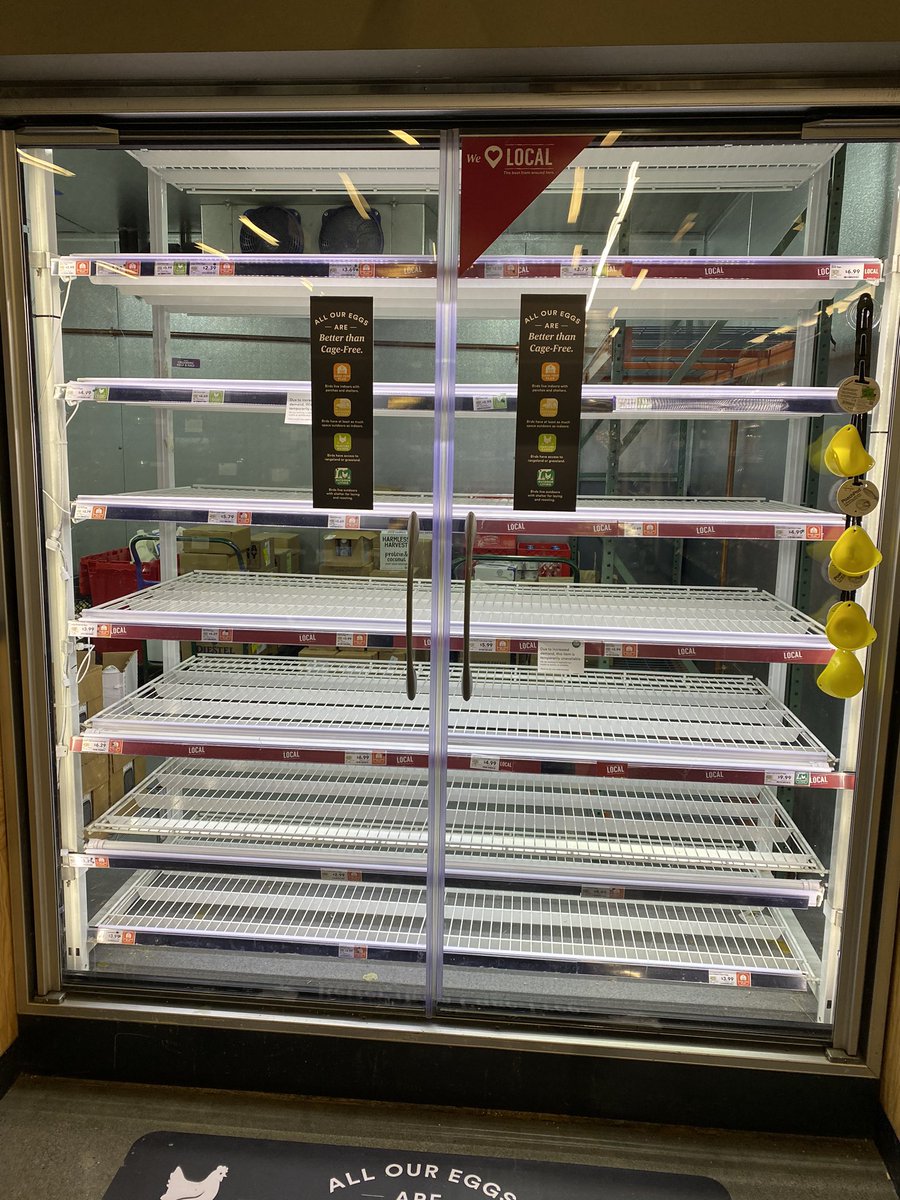 Parsa Saljoughian tweet media