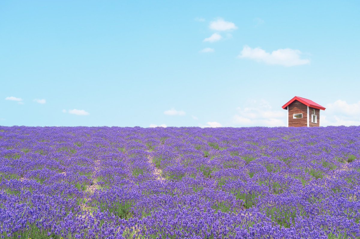 かお かわいい景色 壮大な景色がたくさんある北海道 夏の北海道は特にかわいい コロナで気が滅入るからみんなの写真で旅行しようぜ