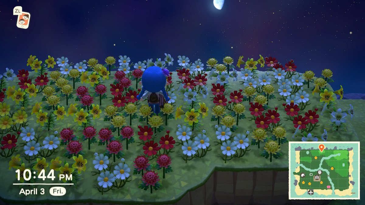 4jmitchell's tweet photo. #AnimalCrossing #ACNH #NintendoSwitch https://t.co/PaF2wkJW4M