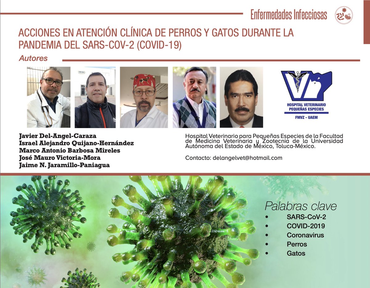 delangelvet's tweet photo. Acciones en la atención clínica de perros y gatos durante la epidemia del SARS-CoV-2 (COVID-19)  
💻LINK PARA DESCARGAR ARTÍCULO COMPLETO
https://t.co/WibE2OoGdm…
LINK PARA LEER EN LÍNEA
https://t.co/YcyYHucAJe   

#NUVetMex  #hvpeuaemex #COVID19 #SARS-Cov2 #coronavirus https://t.co/YpftTy0nlT