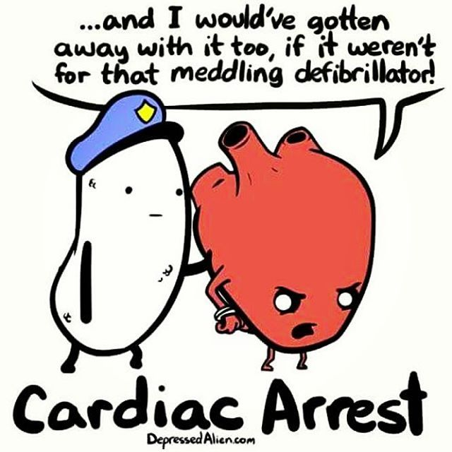 CoAriele's tweet photo. @Theflowofthehe1 #biom4180 😂 https://t.co/8GQnry7NwQ
