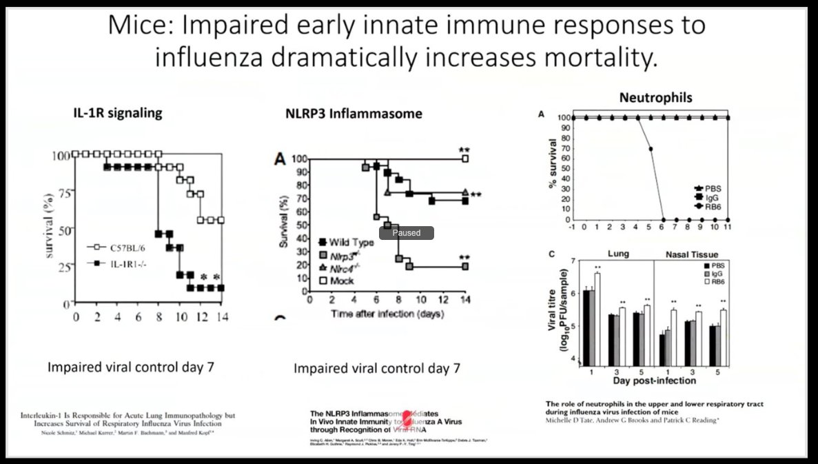 8/15 A hyper-inflammatory early INNATE immune response (non-specific) is critical for gaining control of virus. Preclinical studies show that inhibiting the early innate response leads to bad outcomes, and also likely reason early steroid use may be harmful in patients