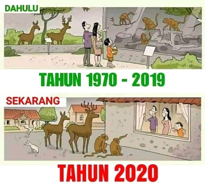 DevriDinarto's tweet photo. Sekarang #dirumahsaja jadi tontonan kucing lho @fadlizon @tirta_hudhi  @haikal_hassan @detikcom https://t.co/ZgCNwTXS3W
