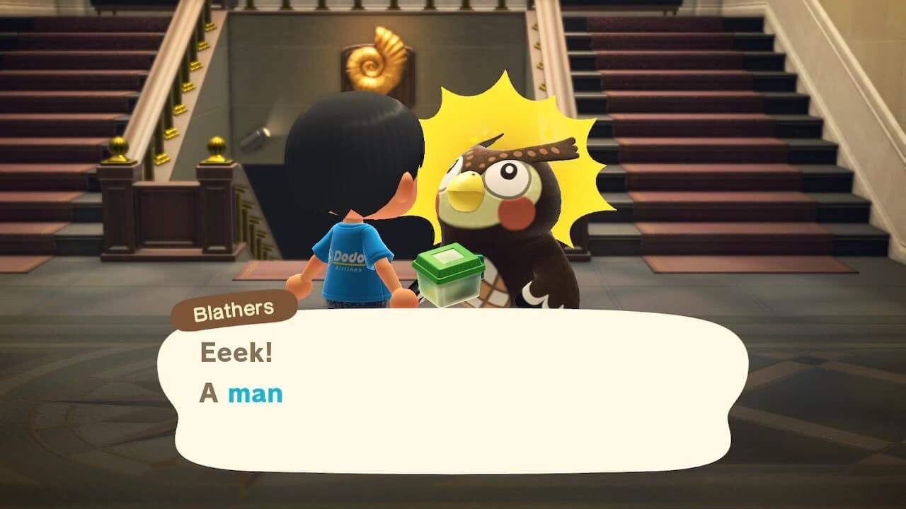 Reactions Blathers Animal Crossing Owl Eek A Man Reactions Blathers Animal Crossing Owl Eek A Man