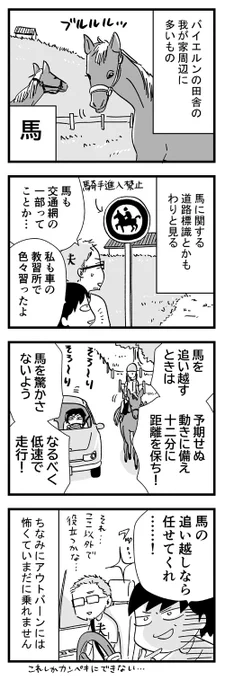 ドイツ・バイエルンの道路ではある生き物によく遭遇する…という話。

#アフタツイコミ #ぽけっとドイツ手帖 #ぽけドイ #白乃雪 #ドイツ #バイエルン #国際結婚 