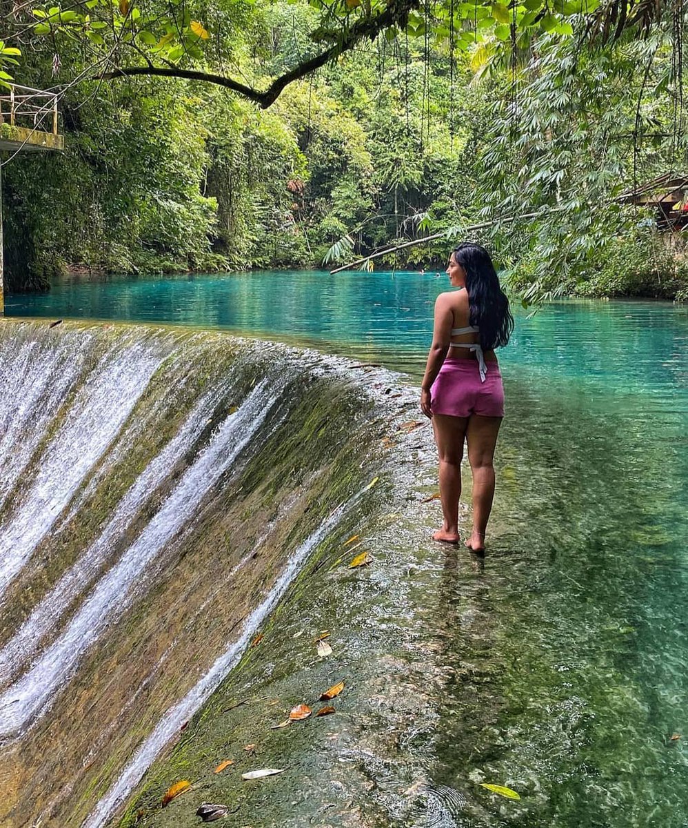 Airohub's tweet photo. Kawasan Falls
I miss waking up and driving to a waterfall for a swim 🤩 When was the last time you enjoyed the water in a waterfall?
Kawasan Falls, Philippines .
Photo by @ilunarang
Don't forget to follow 👉 Airohub LLC
#girlstravel #travelphotography #delhi #goa #airohub https://t.co/idn2aAuL1Y