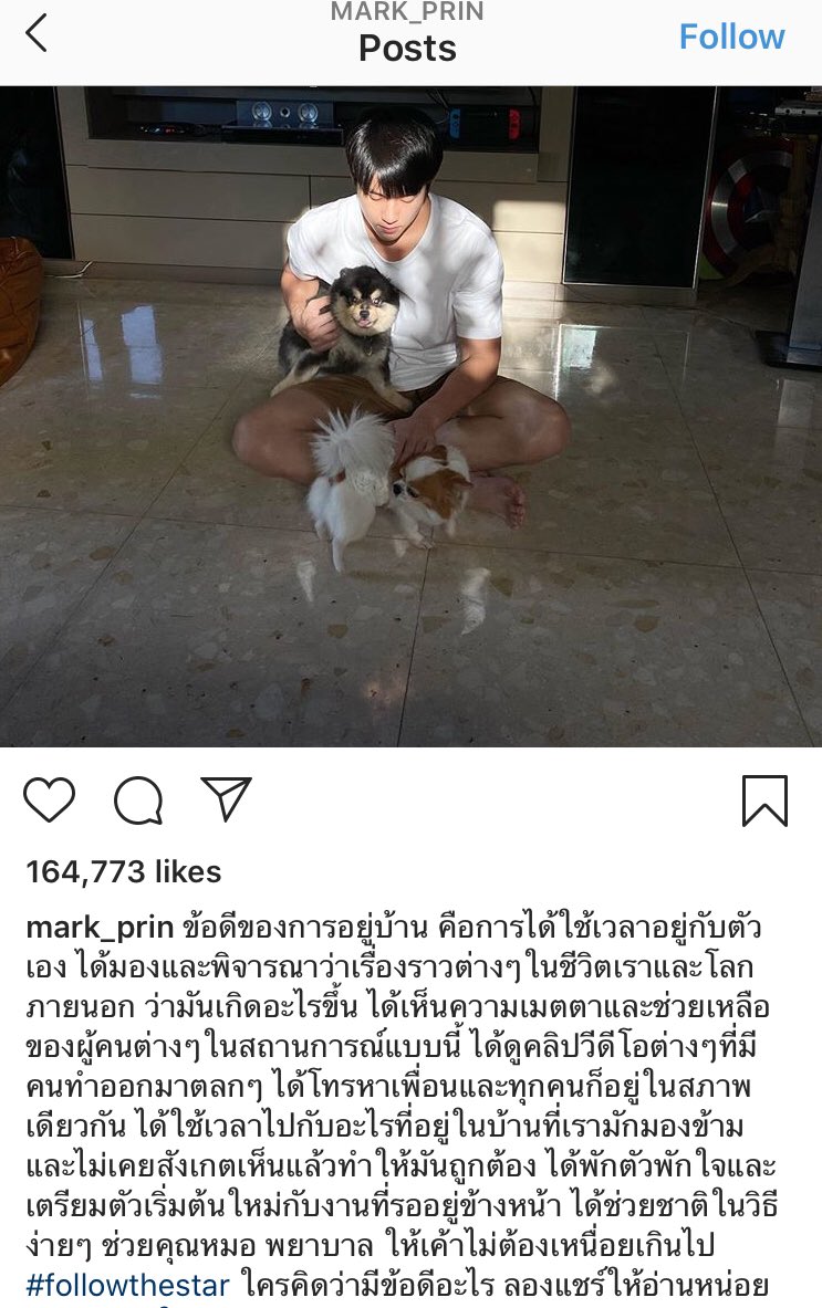 คุณหนูโสนน้อย ณ เรือนงาม 🐾 tweet media