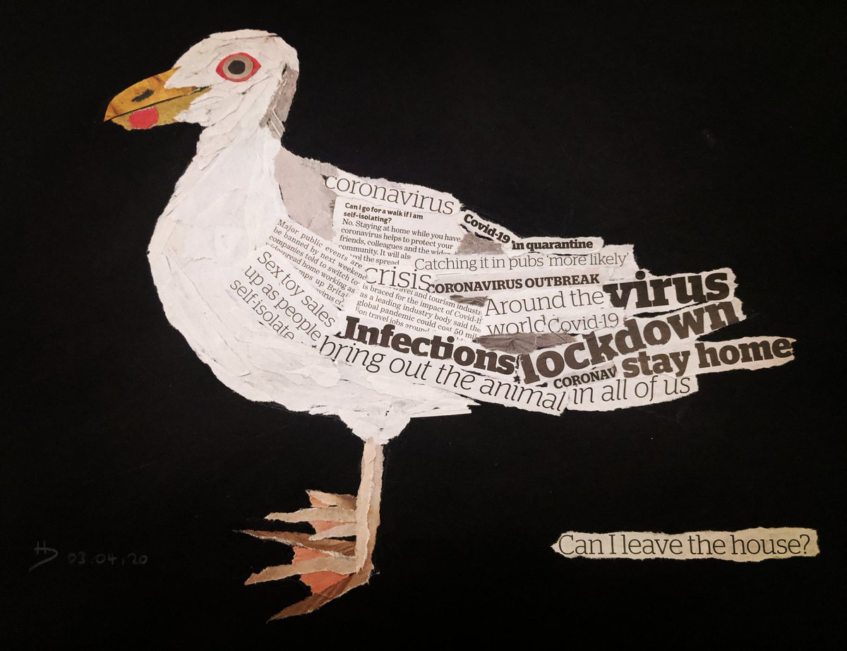 HD_NatureFreak's tweet photo. It only took a pandemic but I've joined Instagram and am attempting daily #arttherapy! Last nights effort got wierd... #seagull #covid19 #stayhome #cabinfever #sketchbook #newspaper #cornwall #devon https://t.co/sp8Ps7e381