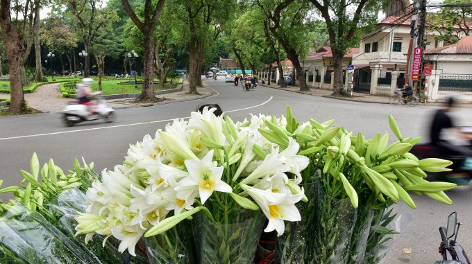 azotours's tweet photo. Waiting for a peaceful life back
#COVID19 #Coronavirus
#pray_for_the_world
#Safe_Vietnam
#safe_travelling
#azotourvietnam #azotours
#hanoi_peace #peaceful_hanoi #hanoi_streets  #Hanoi_social_distancing
#vietnam__social_distancing
#vietnam_tour_packages
#vietnam_destinations https://t.co/aeWKMSSvhE