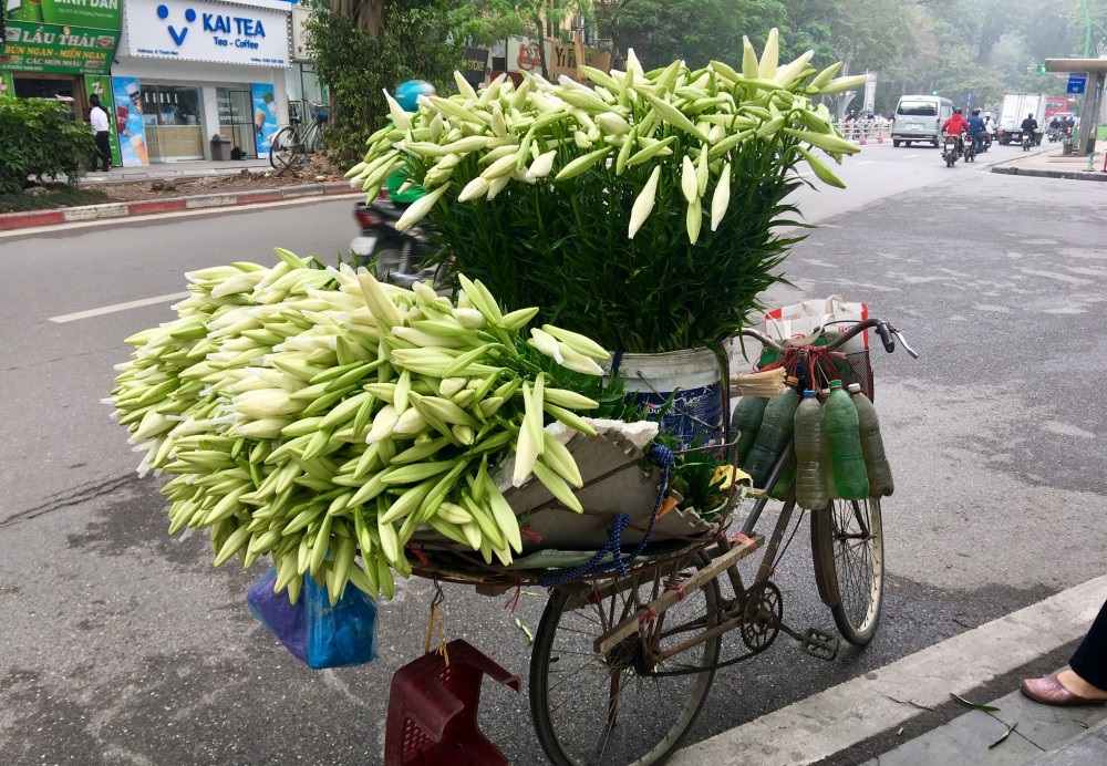azotours's tweet photo. Waiting for a peaceful life back
#COVID19 #Coronavirus
#pray_for_the_world
#Safe_Vietnam
#safe_travelling
#azotourvietnam #azotours
#hanoi_peace #peaceful_hanoi #hanoi_streets  #Hanoi_social_distancing
#vietnam__social_distancing
#vietnam_tour_packages
#vietnam_destinations https://t.co/aeWKMSSvhE