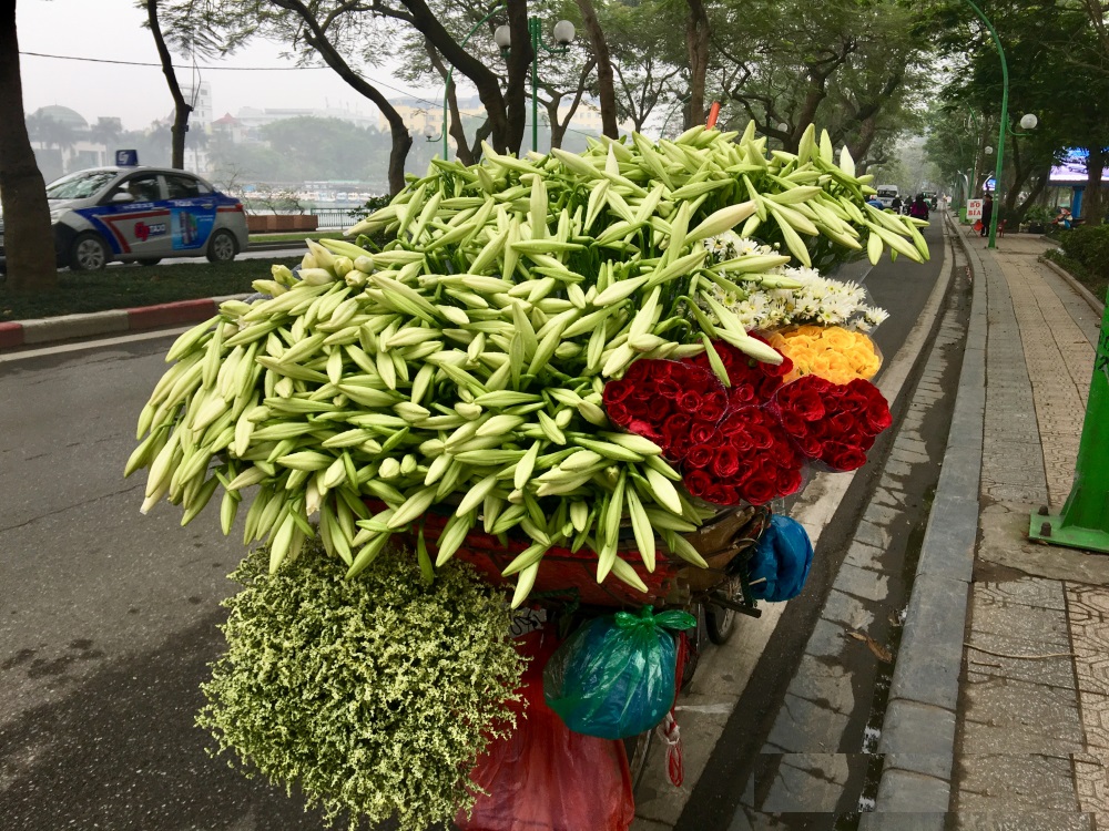 azotours's tweet photo. Waiting for a peaceful life back
#COVID19 #Coronavirus
#pray_for_the_world
#Safe_Vietnam
#safe_travelling
#azotourvietnam #azotours
#hanoi_peace #peaceful_hanoi #hanoi_streets  #Hanoi_social_distancing
#vietnam__social_distancing
#vietnam_tour_packages
#vietnam_destinations https://t.co/aeWKMSSvhE
