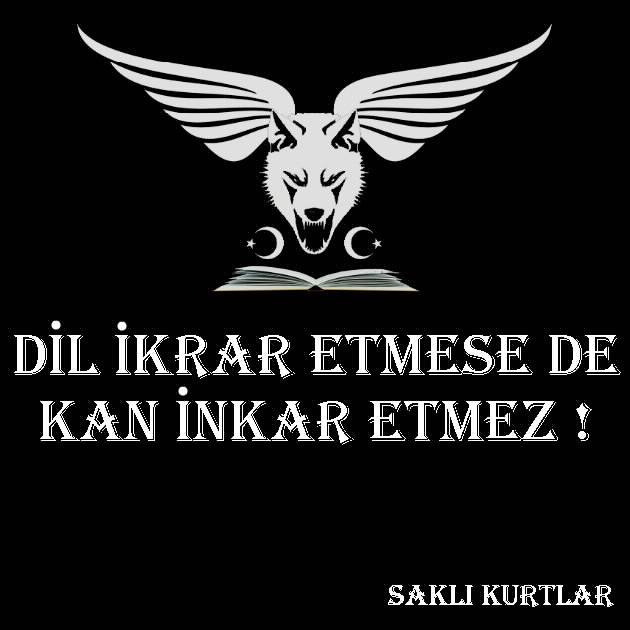 #AlparslanTürkeş