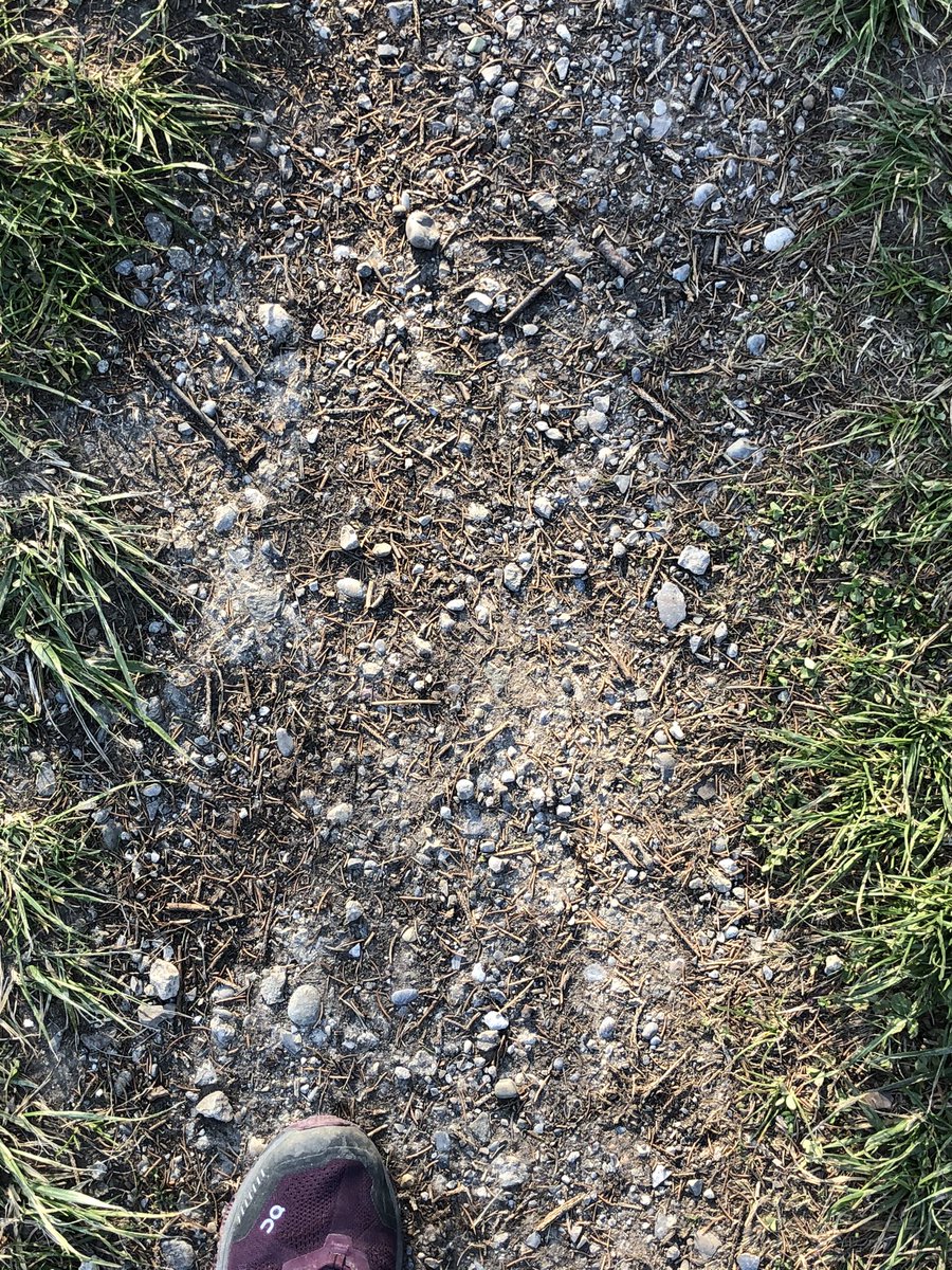 jacquelinefehr's tweet photo. ☀️ ☀️☀️und jetz? 
OK ist
- alleine (oder mit Personen, die im gleichen Haushalt leben) von zuhause aus eine Runde joggen, spazieren oder biken.
NICHT OK ist
- sich in Gruppen aufhalten
- sich dort aufhalten, wo viele sind.
- ohne Not Bus, Zug oder Auto nutzen #COVIDー19 https://t.co/brqMBCVQcG