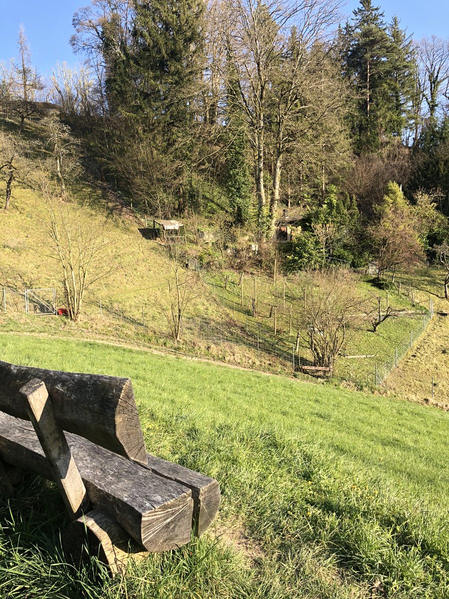 jacquelinefehr's tweet photo. ☀️ ☀️☀️und jetz? 
OK ist
- alleine (oder mit Personen, die im gleichen Haushalt leben) von zuhause aus eine Runde joggen, spazieren oder biken.
NICHT OK ist
- sich in Gruppen aufhalten
- sich dort aufhalten, wo viele sind.
- ohne Not Bus, Zug oder Auto nutzen #COVIDー19 https://t.co/brqMBCVQcG