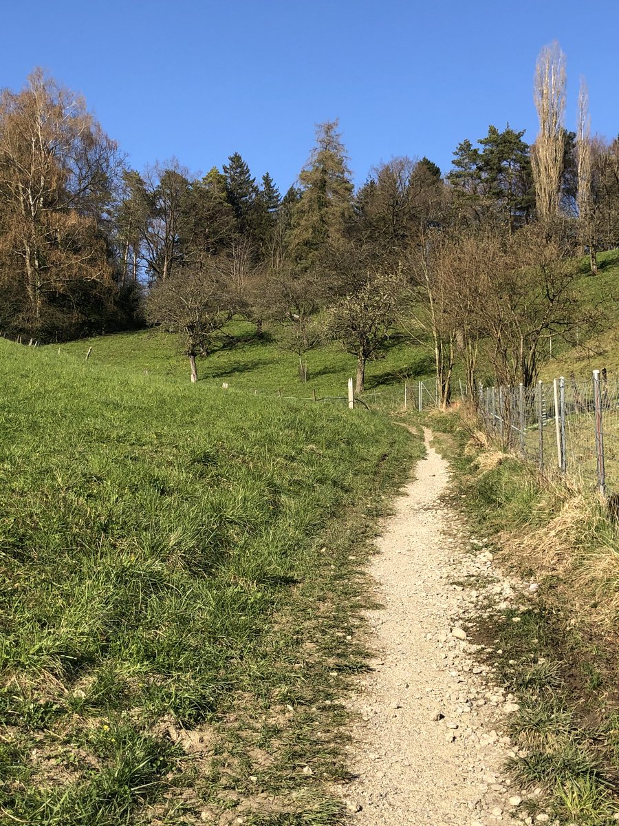 jacquelinefehr's tweet photo. ☀️ ☀️☀️und jetz? 
OK ist
- alleine (oder mit Personen, die im gleichen Haushalt leben) von zuhause aus eine Runde joggen, spazieren oder biken.
NICHT OK ist
- sich in Gruppen aufhalten
- sich dort aufhalten, wo viele sind.
- ohne Not Bus, Zug oder Auto nutzen #COVIDー19 https://t.co/brqMBCVQcG
