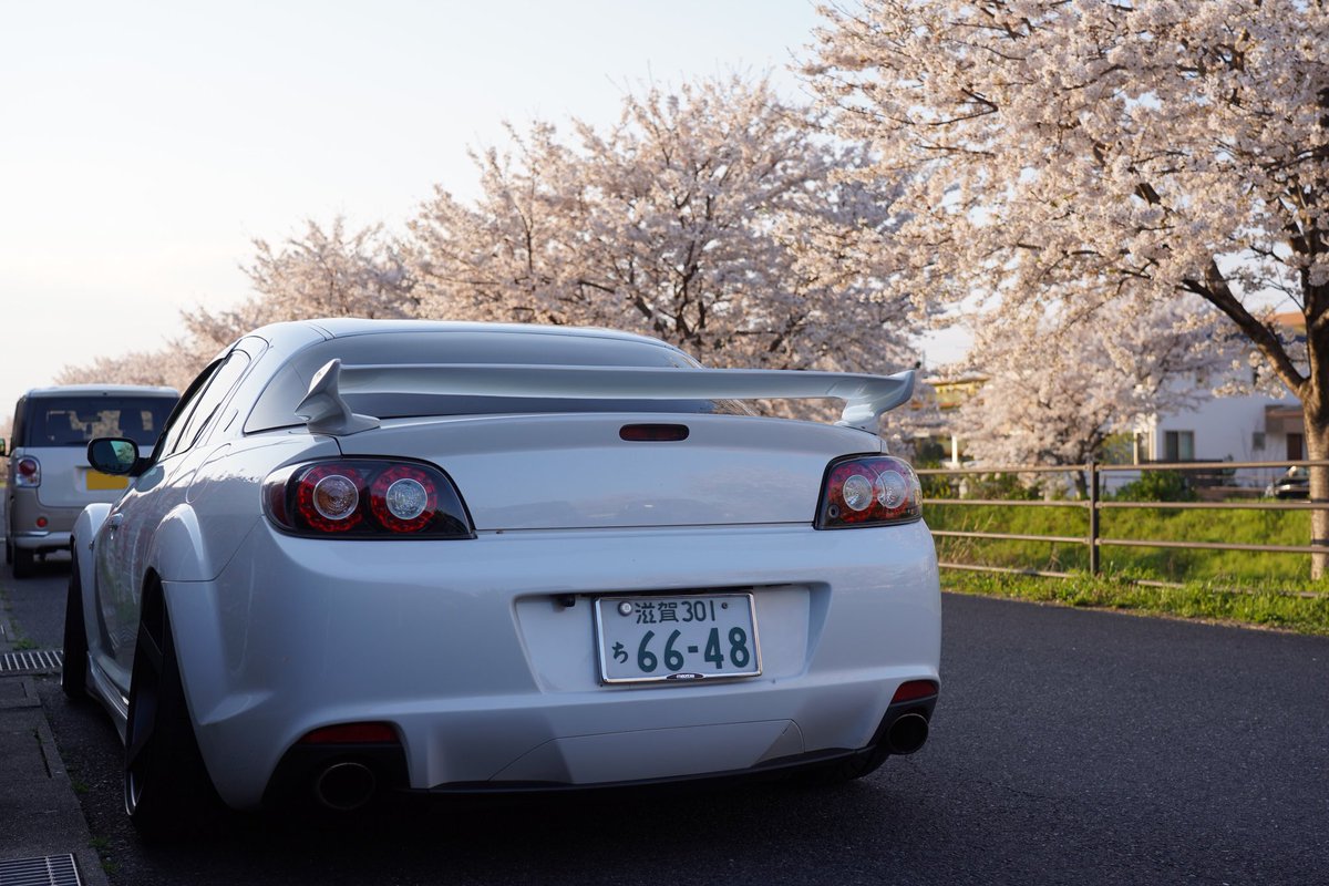 karaage34's tweet photo. 8ヶ月ぶりぐらいに洗車してから桜と写真とった😌
何だかんだで久しぶりのカメラ笑 https://t.co/DR9ztVb5tJ