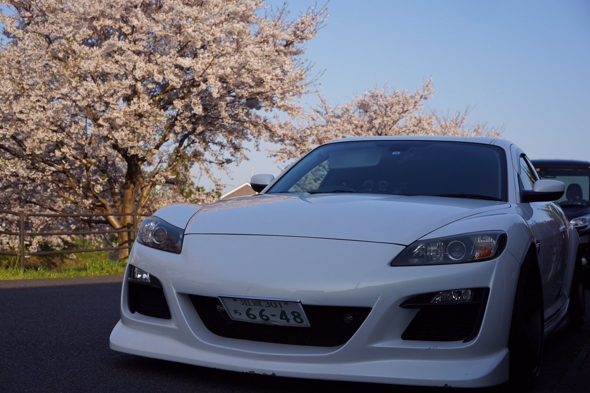 karaage34's tweet photo. 8ヶ月ぶりぐらいに洗車してから桜と写真とった😌
何だかんだで久しぶりのカメラ笑 https://t.co/DR9ztVb5tJ