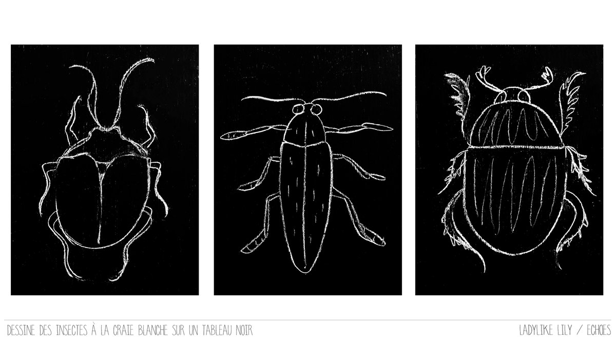 🐜🕷️🐞Activité enfants du jour 🐜🕷️🐞