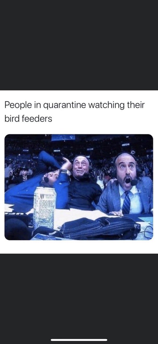Sam_Woodward2's tweet photo. Me with our hummingbirds 😂 https://t.co/q9VtSuqqQL