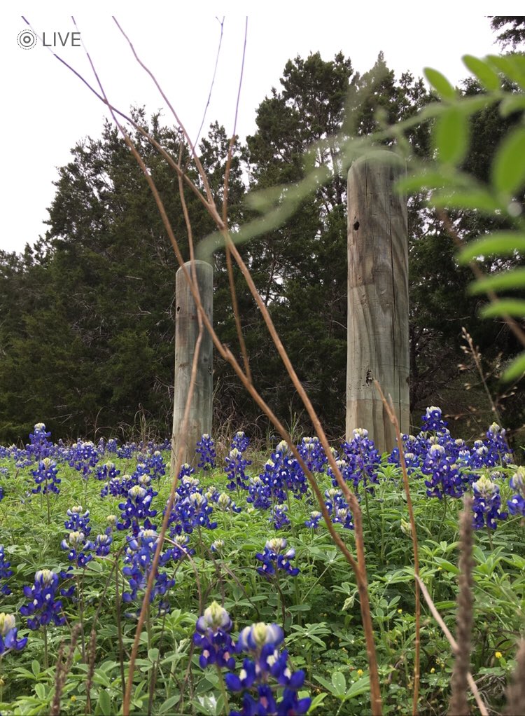 DianaUlman's tweet photo. @TexasHumor https://t.co/3n2GuwZb5f