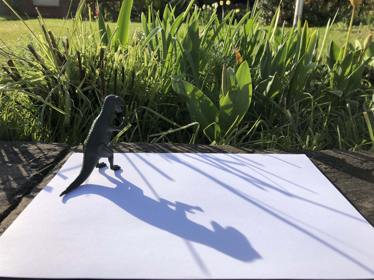 DrJoScience's tweet photo. #Day13 #ScienceActivity With the sun shining in much of the UK this weekend, why not head outside to explore shadows! Draw around &amp; measure your own shadow (or toys') at various points during the day. Watch what happens!
#DrJoScience #ScienceFromHome #ScienceInYourGarden https://t.co/XbpFICGJrZ