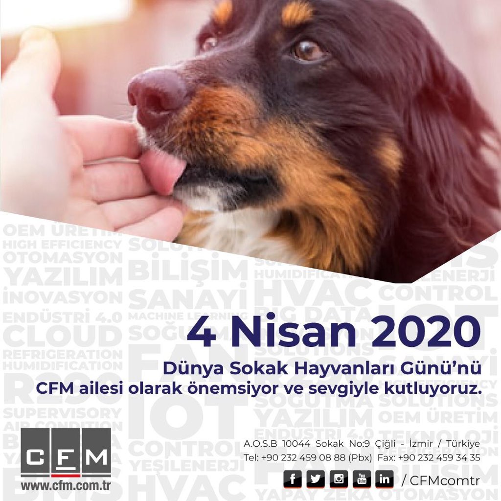 CFMcomtr's tweet photo. CFM ailesi olarak bu zor günlerde küçük dostlarımızı da unutmadık. 

#4nisandünyasokakhayvanlarıgünü 
#4NisanSokakHayvanlarıGuenue 
#4Nisan2020 
🐈🐕🙏❤ https://t.co/mbpWZbyOLo