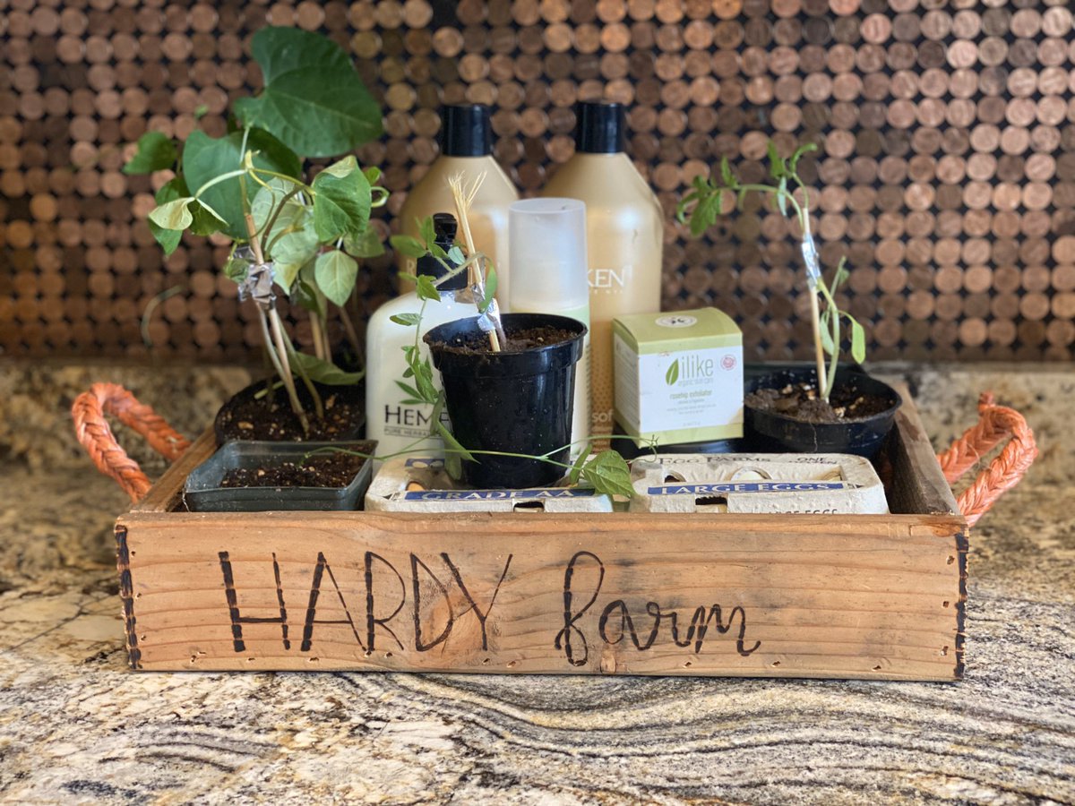 TashaHardy's tweet photo. Today was a good day, running, gardening, problem solvingโฆ staying away from problems I canโt solve #germanshorthairedpointer #gsp #gardening #hardyfarm #PandemicCovid19 #goodvibes #pandemicpackages #hairstylist #BusinessOwner #love #joy #vitamind https://t.co/AFvdeOU3Ah