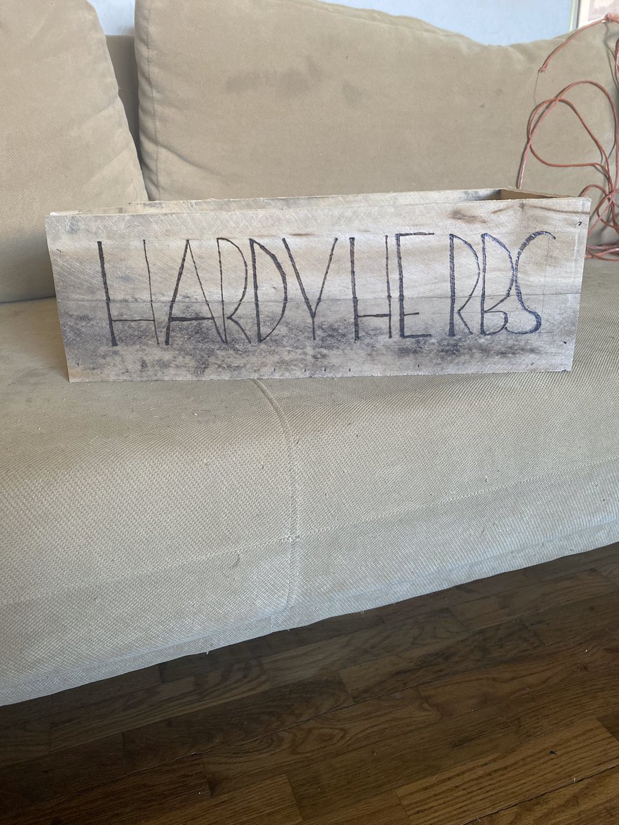 TashaHardy's tweet photo. Today was a good day, running, gardening, problem solvingโฆ staying away from problems I canโt solve #germanshorthairedpointer #gsp #gardening #hardyfarm #PandemicCovid19 #goodvibes #pandemicpackages #hairstylist #BusinessOwner #love #joy #vitamind https://t.co/AFvdeOU3Ah