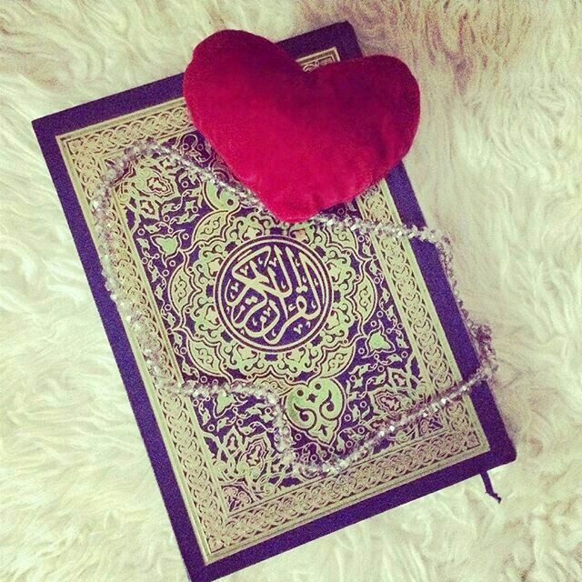 its_GoharFatima's tweet photo. السلام علیکم ورحمتہ اللہ وبرکاتہ! 

لا الہ الا اللہ جسے سمجھ آگیا،،
محمد الرسول اللہ اسکے دل میں سما گیا.!!

#بیشک https://t.co/Ic0flcJqqn