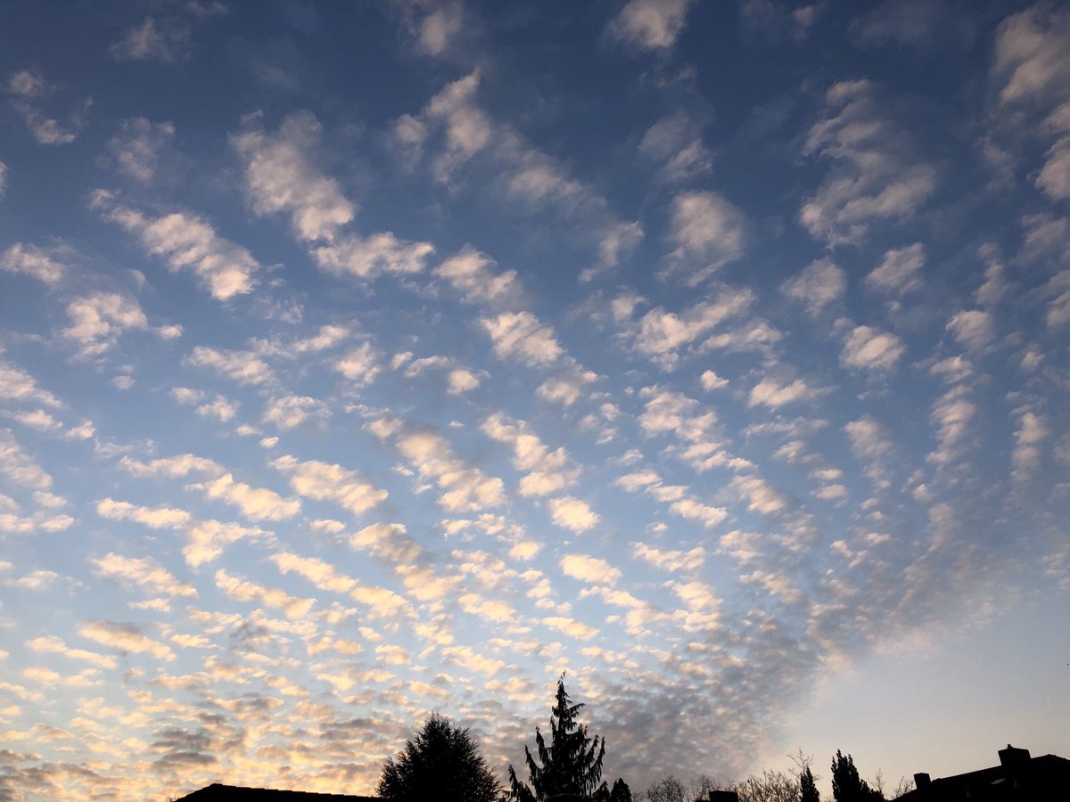 ZahnarztLudwig's tweet photo. #wochenende #weekend #samstag #sonntag #love #frühling #weekendvibes #Samstag #natur #happy #hoch #Keywan
#himmel https://t.co/IhKeFye5Db