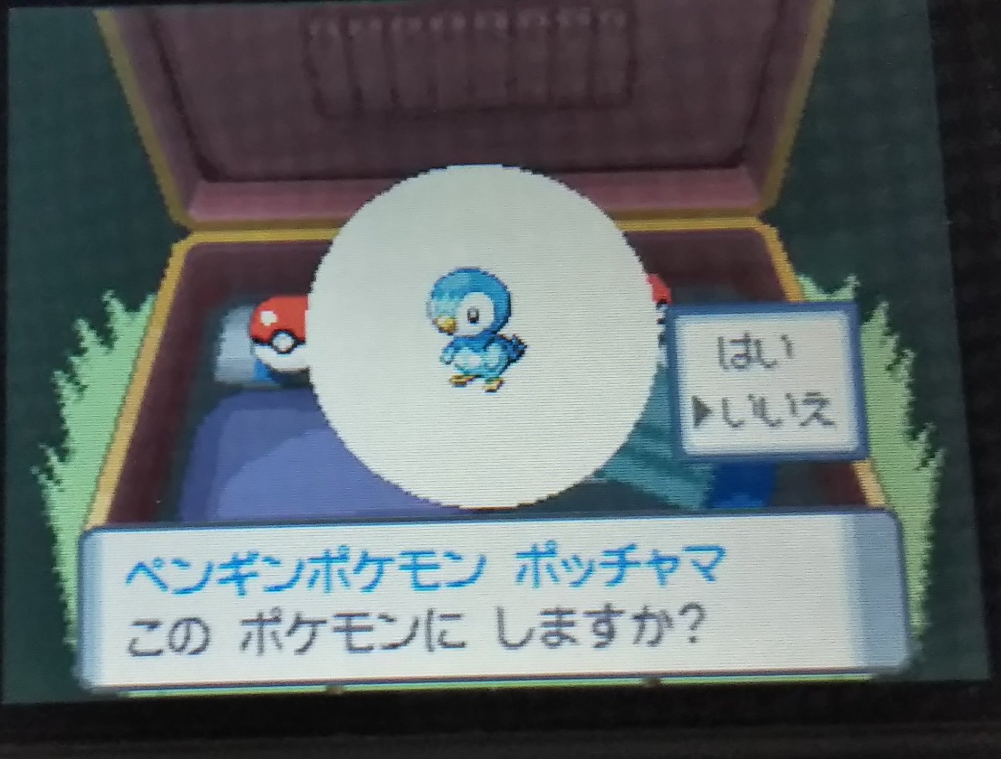 Twitter 上的 むじゃごん パールで色違い縛り始めました ヒコザルかポッチャマで迷ったけど波乗りができるポッチャマを粘ります ポケモン 色違い 色違い縛り ダイパ ペンギン T Co Fwmr1rtpva Twitter