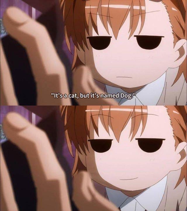 ZapperClone's tweet image. 