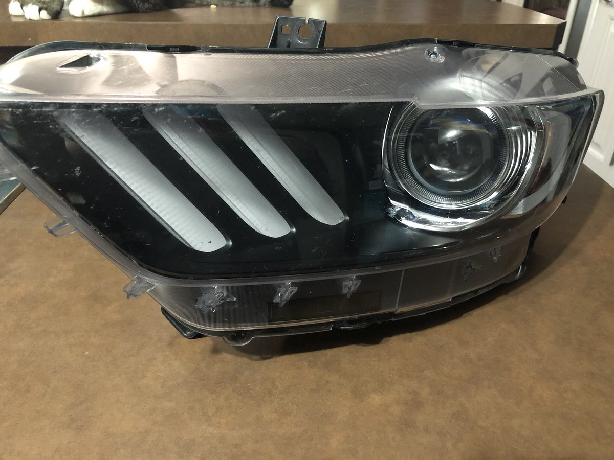 EliteAutoStyle's tweet photo. More then just the wrap on this Shelby. We’re doing a full custom retrofit as well. #yyc #calgary #retrofit #lighting #wrap #custom #cars https://t.co/TpdnR1sTSD