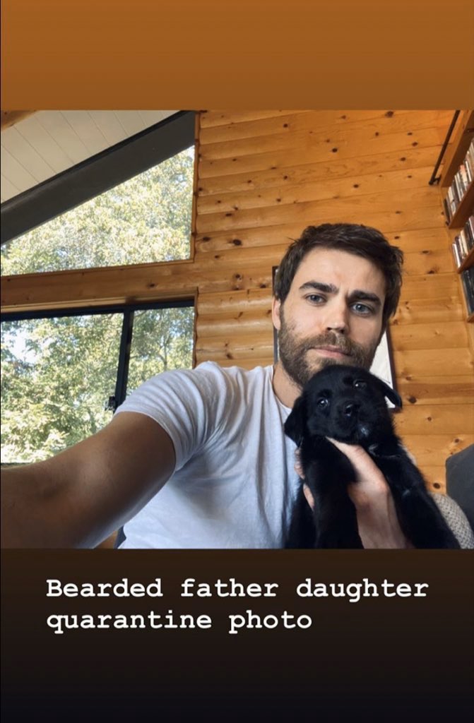 wesleysfire's tweet photo. Paul and Ines with their quarantine children πΆπ #wesleylife @paulwesley https://t.co/nFH1NdmaNI