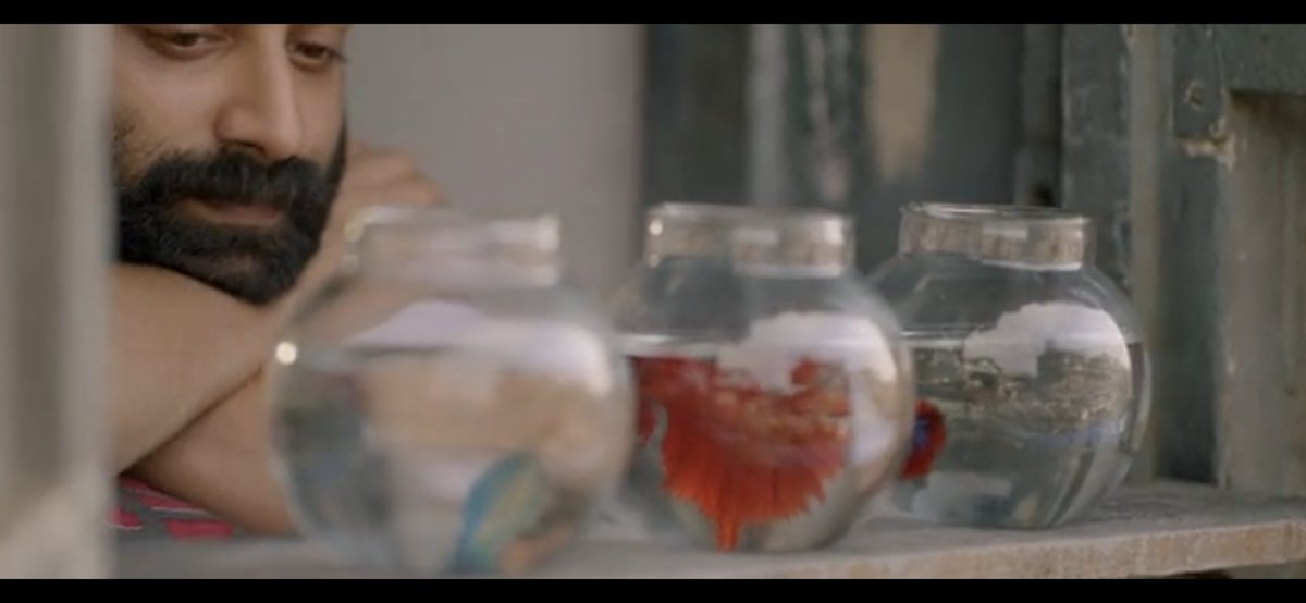 Repeated shots of fish in the film. This can be symbolized as :-1:- In memory of Sreenath Bhasi (bcuz Fahadh during his childhood has gifted Sreenath with fishes)2:- symbolizes Fahadh itself. Even after being Joshua, Fahadh wants more space like Beta fish #Trance