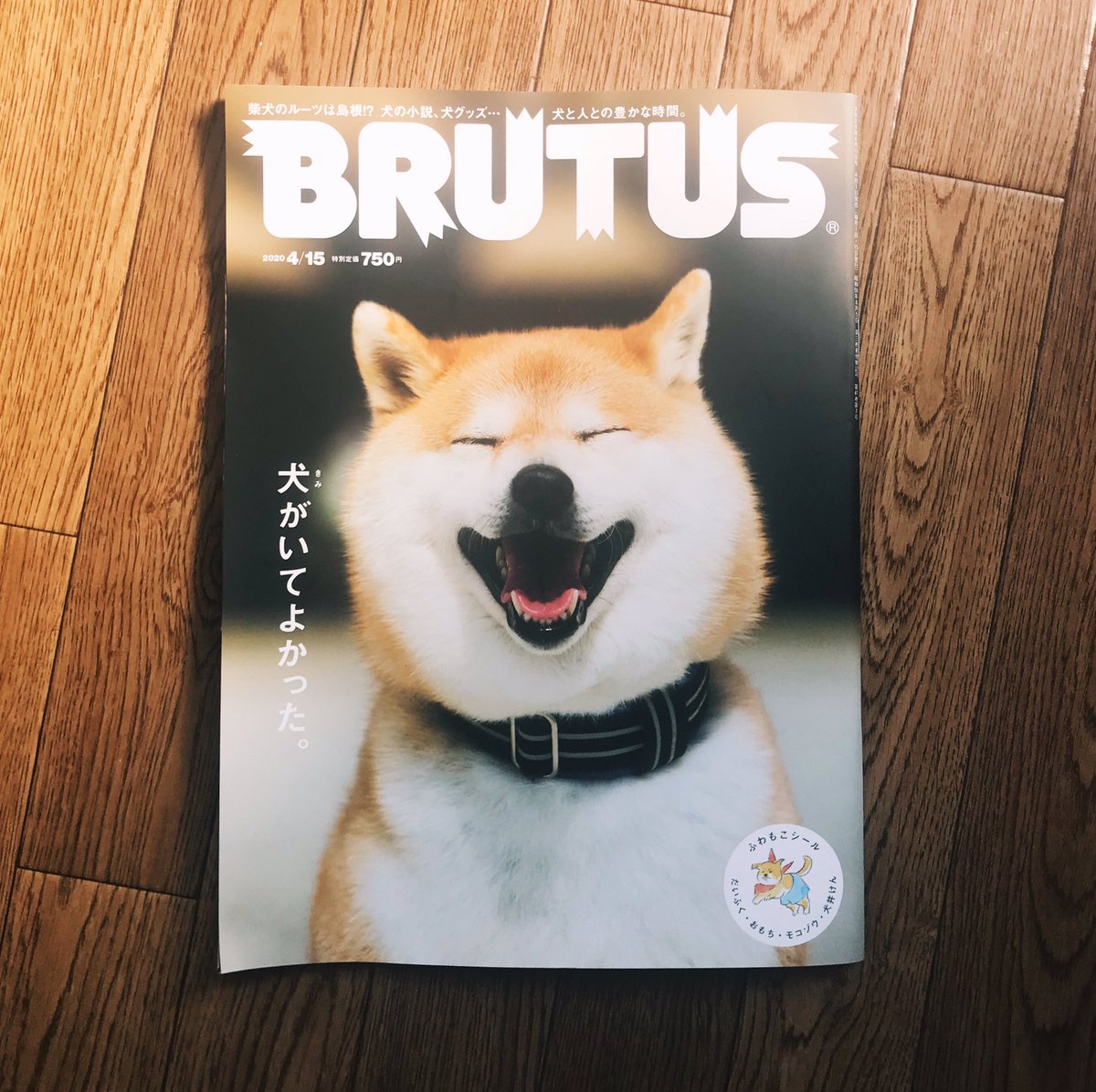 ナガサワケンタ Brutus No 913 犬がいてよかった 4年ぶりに復活した犬特集 ブルータス は猫より犬 が似合う 世の中が疲弊してるこのタイミングに出た特集は みんなの笑顔を引き出していると思う 満を持してブルータス に登場したモコゾウも最高だ