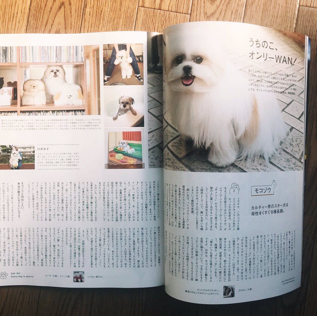 ナガサワケンタ Brutus No 913 犬がいてよかった 4年ぶりに復活した犬特集 ブルータス は猫より犬が似合う 世の中が疲弊してるこのタイミングに出た特集は みんなの笑顔を引き出していると思う 満を持してブルータス に登場したモコゾウも最高だ