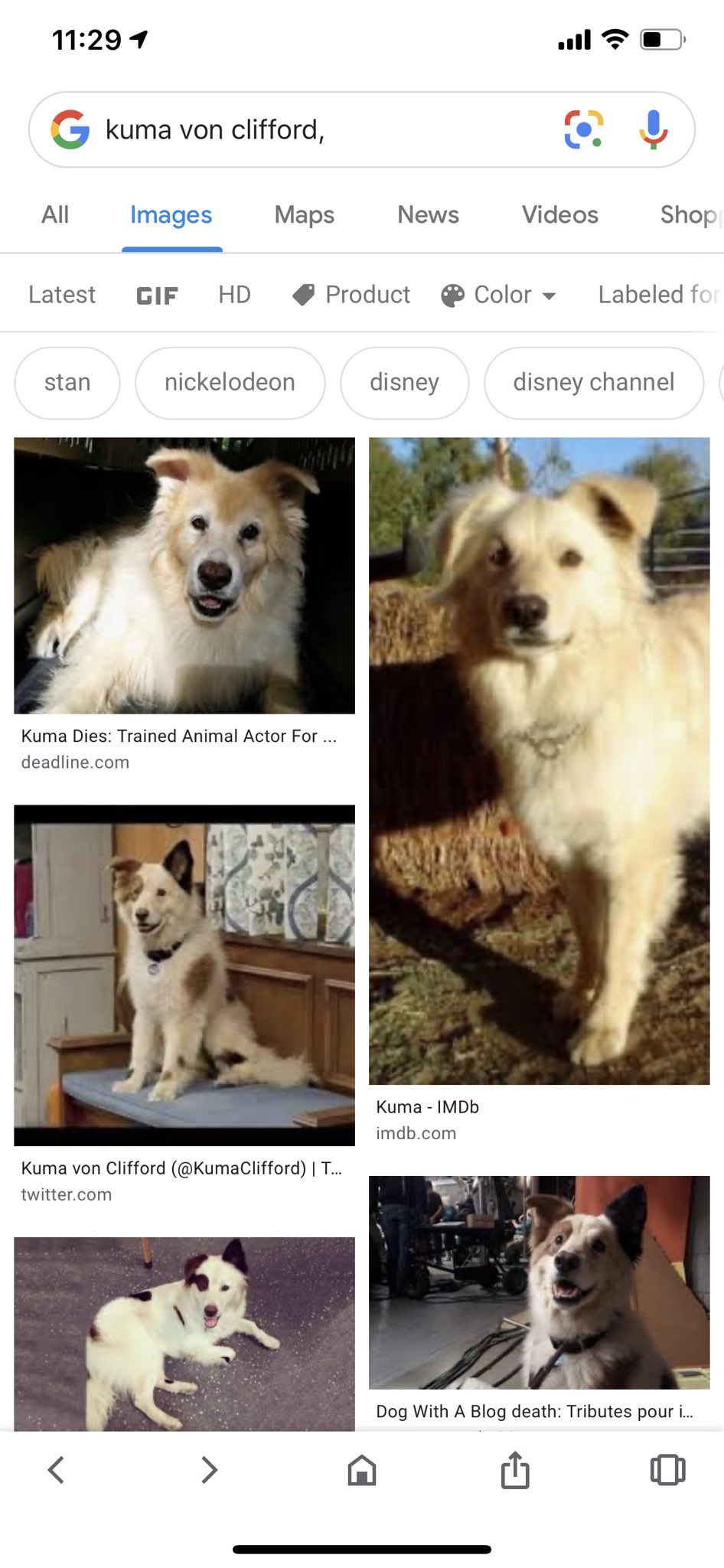 𝕄𝕒𝕜𝕠 ℕ𝕒𝕜𝕒𝕞𝕦𝕣𝕒 なんでもググッてみるもんだな Dog With A Blog 邦題 ブログ犬スタン っていうディズニーチャンネルでやってたドラマの スタンを演じてたイヌさんがkumaっていう名前で それでなのかも 𝕄𝕒𝕜𝕠 ℕ𝕒𝕜𝕒𝕞𝕦𝕣𝕒 なんでもググッてみるもんだな Dog With A Blog 邦題 ブログ犬スタン っていうディズニーチャンネルでやってたドラマの スタンを演じてたイヌさんがkumaっていう名前で それでなのかも