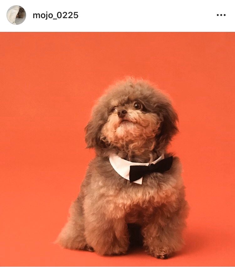 ナガサワケンタ Mojo T Co 2phkumgbbz T Co Vrmix6um04 Twitter