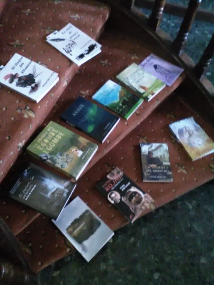 Estos libros han sido donados por sus autores al #HospitalDeIfema para que los enfermos puedan ocupar su tiempo.  

#FelizSabado y así sea todos los días.

#España y el #Mundo todos a una!