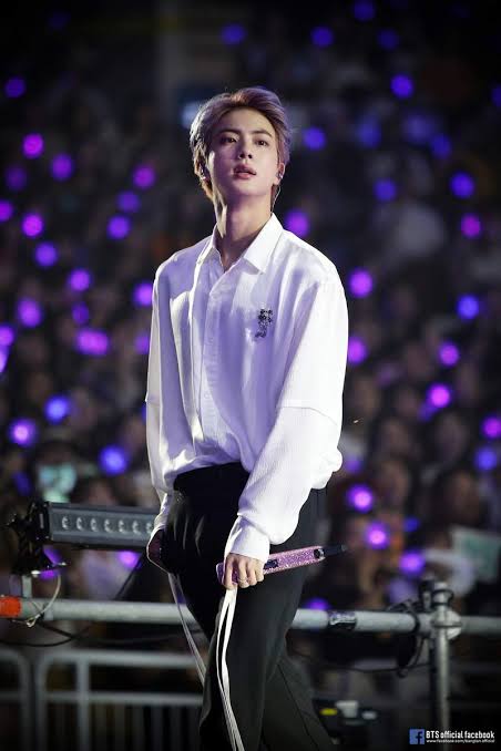 Seokjin:Perfection