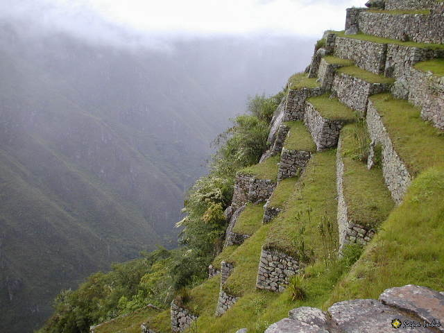 Info_SapaInka's tweet photo. #Machu Picchu

Die #Terrassen von #MachuPicchu, links vom #Intihuatana mit Blick auf das #Urubambatal aufgenommen.
Die Terrassen sind recht steil, steiler als auf der rechten Seite und bilden das #Fundament der #Inkastadt. 

https://t.co/WkZ2HycEVm https://t.co/g9sLV9iONp
