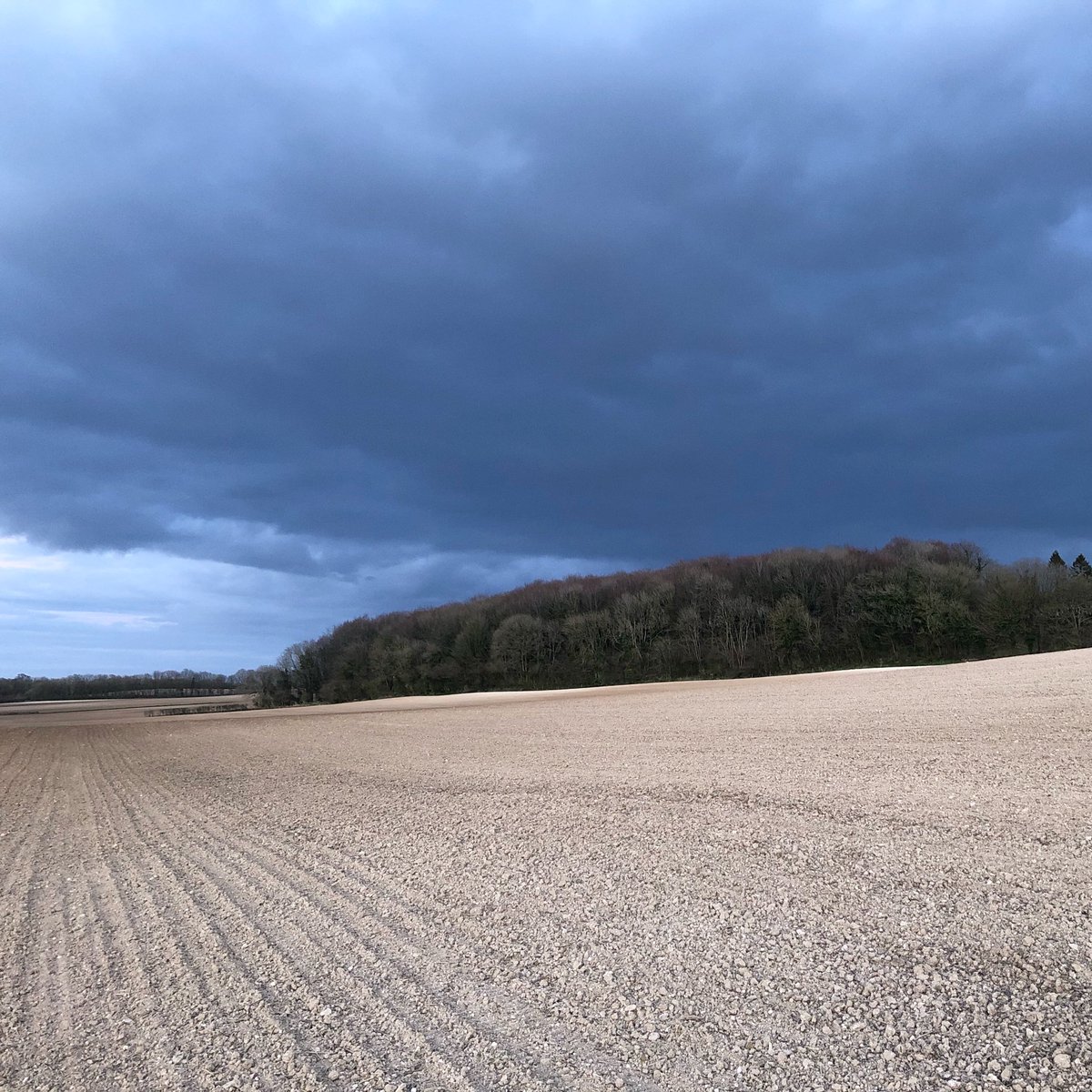 Barely twilight #landscape #Dorset