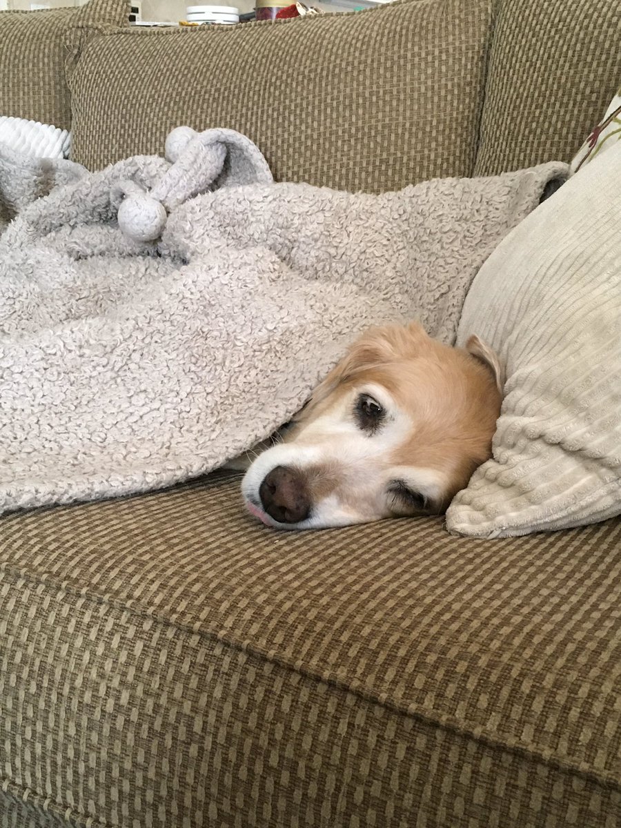richardcostigan's tweet photo. #GoodNight #TwitterNeighbors - we made it to #FridayNight is it week 3 or 4 - the days really run together. Work is nolonger M-F but 7 days a week. Itโs balancing #family which I need to work on, exercise which is gone, eating right - nope! #WeWillPrevail โ๏ธout peeps! #StayHome https://t.co/nQX6LPbbGu