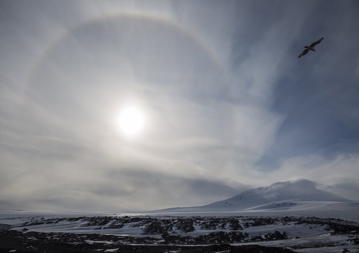 DanBrownNature's tweet photo. A superb #sunhalo over #mounterebus #Antarctica as we visited Scott’s Hut at #Capeevans. This place is spectacular on any visit let alone with this meteorological bonus. Also second halo behind #Rosssea legend David Harrowfields head off #snaresislands #stormhour #weatherwatching https://t.co/DojvwVAzyO