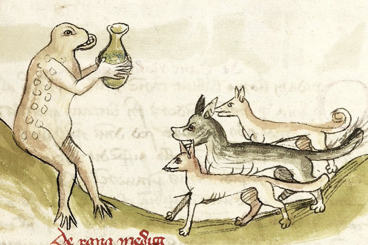 Dr. Frog examining a flask containing the dogs' urine[Getty, Ms. Ludwig XV 1, 15th c.]