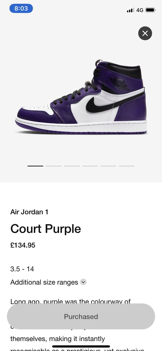 offspring jordan 1 court purple