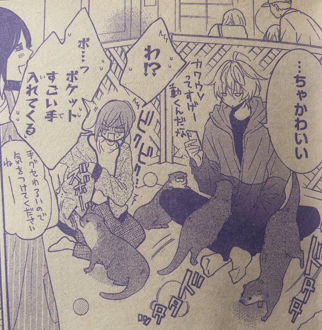 むむ さん がハッシュタグ なまいきざかり をつけたツイート一覧 1 Whotwi グラフィカルtwitter分析 むむ さん がハッシュタグ なまいきざかり をつけたツイート一覧 1 Whotwi グラフィカルtwitter分析