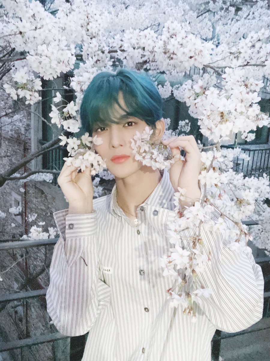 CIX_Official's tweet photo. [#CIX]
꽃 너무 이쁘죠🌸😚💓

누가 꽃일까요? 😊ㅋㅋㅋㅋㅋㅋㅋㅋㅋㅋㅋㅋㅋㅋㅋㅋㅋㅋㅋㅋㅋㅋㅋㅋ🤣🤮 

#씨아이엑스 #배진영 #BAEJINYOUNG https://t.co/F13C1Uws3p